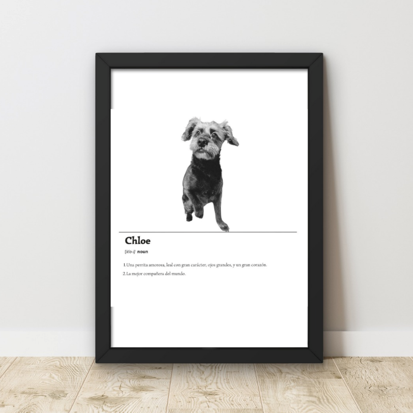 Conoce a mi Mascota