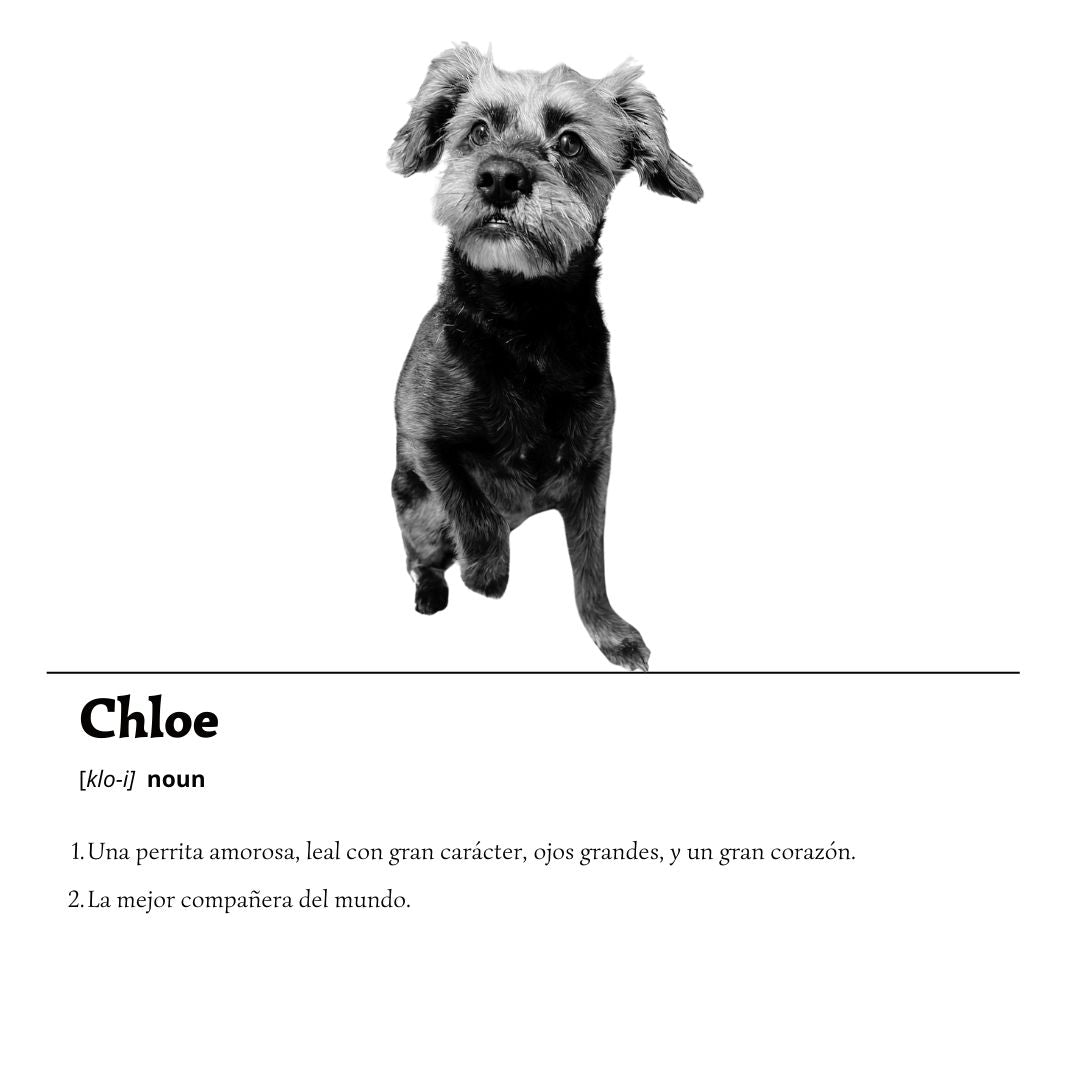 Conoce a mi Mascota
