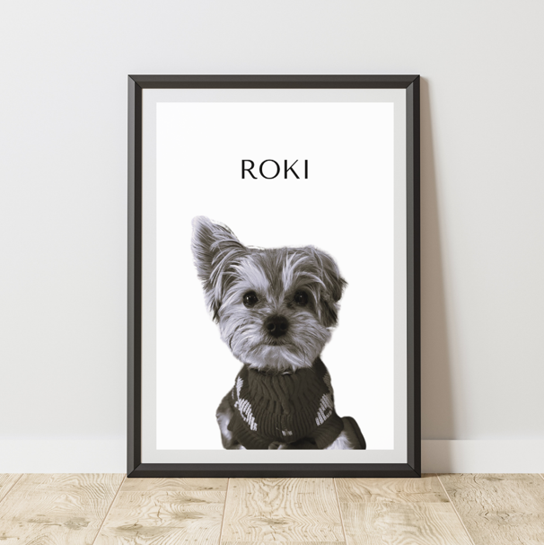 Mascota Frame