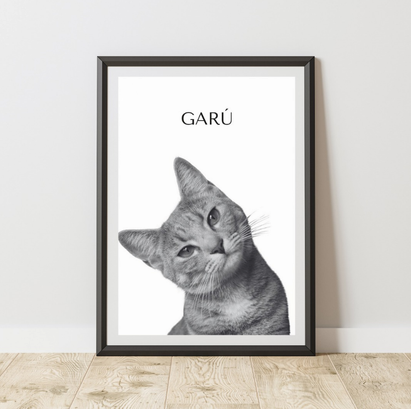 Mascota Frame